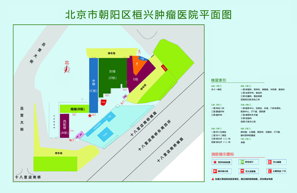 鸡巴操毛网站爽北京市朝阳区桓兴肿瘤医院平面图